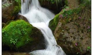 4月4号清明节 4月4号清明节